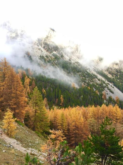 Apartamento Relax In Montagna Bardonecchia Exterior foto